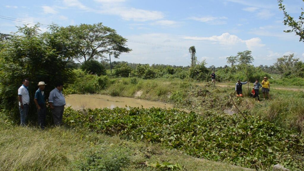 หนุ่มชลประทาน ยอมเสี่ยงชีวิต ลงน้ำไปเอาผักตบชวาออก เพื่อเปิดทางน้ำ แต่สุดท้ายโดนกระแสน้ำดูดจมหาย 516579009338093333278683407851309753272 931099988949725734142690289