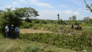 516579009338093333278683407851309753272 931099988949725734142690289