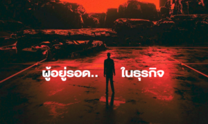 591409498636355551371419267134 350891139079394855714024 terrabkk