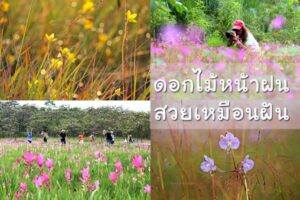 573940567586205025661400464120214044936173954172544248952774238007543299978589483