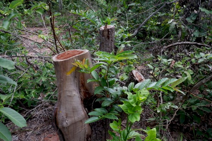 777253056875533145 364616299771329235829562743208607761999332233830653040971673106449597945422658809456552625540527540387322702733689791545534798329010141946922723226914 3000 718377057