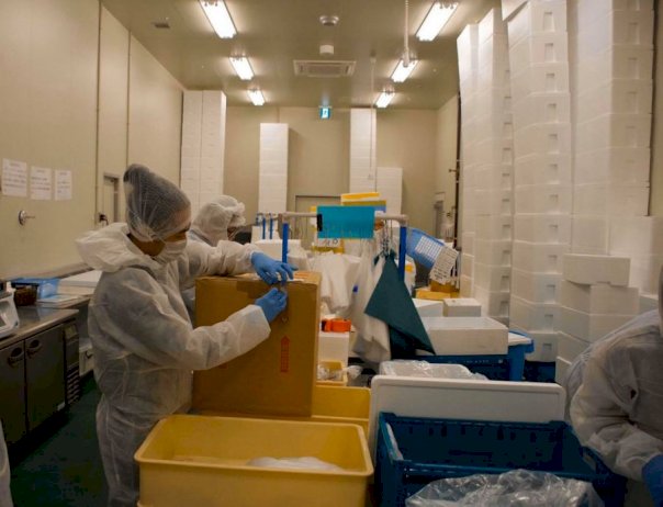 008852286658726257879112933188510635442380778926 561910366024006778872562674468666845196259595 705763175034980607242087345880959868189