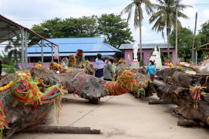 089805241243972046360918600837607261335627263187921575174141143205588213540596579493235016806011407229841674423453098958687264194118