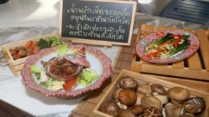 433645748305540600895609423544843 1 698705796722050262098845366719134668245 703740322857588432964860688998030315922