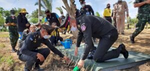 102226457414989747163150401850301657 1 689567531593292198710404498871186011684164707678654919838172694203 977523123665918688374 2563 080 346542960358624478291