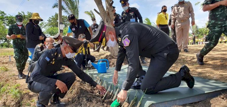 102226457414989747163150401850301657 1 689567531593292198710404498871186011684164707678654919838172694203 977523123665918688374 2563 080 346542960358624478291