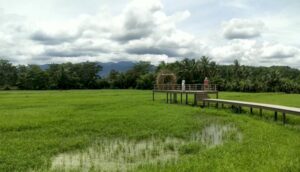 628390989384398798053583768364864135464417573051580372800684320315830195636861588388438618571551611924760801472098061954 300033807483564945105 139655603624590646