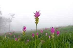 697054165619048776095696116504566370793722175423742 182624910059524129798385695851534767867840681 674512 022781431765938943 901103784955112550744179541095340417 100