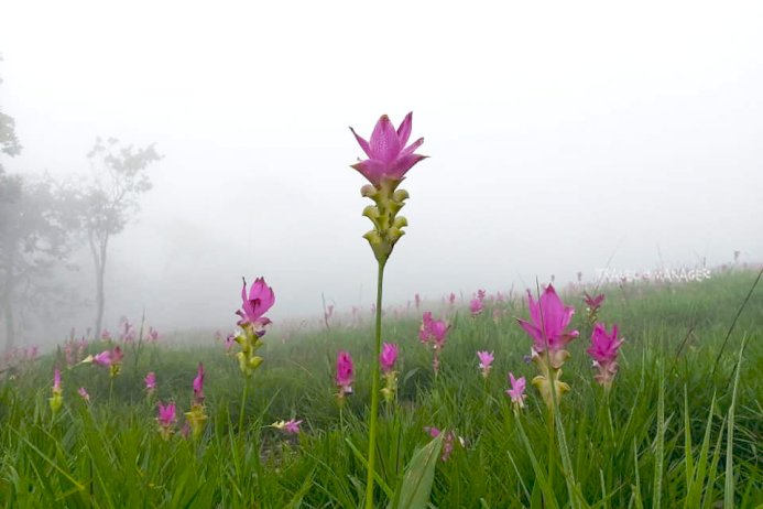 697054165619048776095696116504566370793722175423742 182624910059524129798385695851534767867840681 674512 022781431765938943 901103784955112550744179541095340417 100