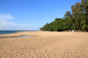 881858223804765970859692474 185505966202002557856170 353630990625070617871026491719651281648230994155623994992040451378 021433072852683