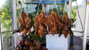 989276503611755600755817807748569647799347481797669 662413171900858691038692167573857037529141679430549519668525880272994865235054118000880 722545532550225933184724744190210