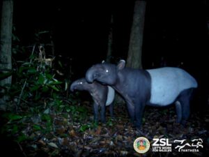 316407075070271825701 255123917247517473294 073017293 374521819 931102878943631974665246903923317117913668852 983 998845964252449264253656360