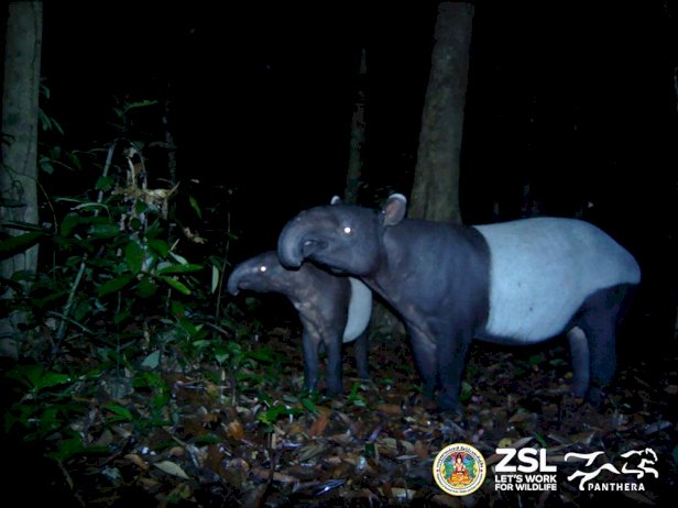 316407075070271825701 255123917247517473294 073017293 374521819 931102878943631974665246903923317117913668852 983 998845964252449264253656360