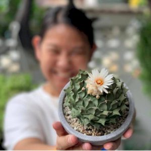 99762 156585487540334792746235906803443208 585867602908613514945325379 193871413907431731991476258582259132858210122533931888225041 247796153464198067301067214345047837839