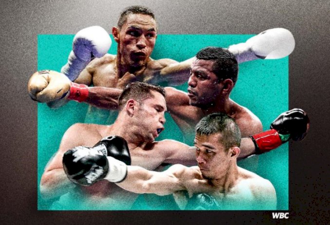 100818 337542906879 374036496599889381290 wbc 542346152864971359926010 109928700602142093524490 487615559878957531761921800849107261101676079275364144760255425205653354302