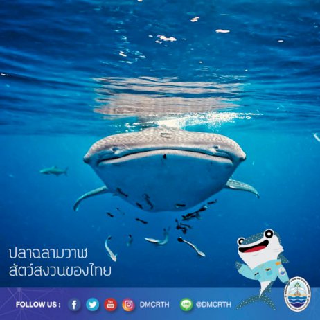 102083 273573535044026049168553118321849440004393070935317783 746530422426403615502691794574709347540181136198317279046280489049643454084674335084713138721135529414451599581891459176137499406343570877056969