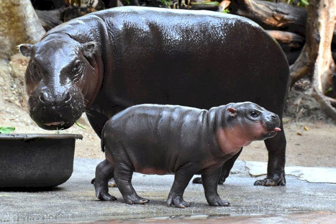 102087 456223250520340698818 261370285424 761859329828680977013 294962310245745661925595994 440969142119102119943892435444875946569897402943 261077190024917537448468269151249541525143912