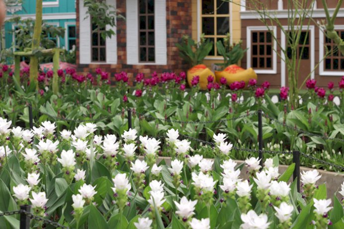 102099 653679 433794 889479693081972 836066014042286948905369680 270481821834547380617074198989563256336235376179438843164015394261 1 356527 566015456 102893632466524992407333071930263211511948934324457442757758648838198457945582414838339100