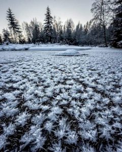 105305 928591803722550480276155979362 980979899985370195269958126148142230213 859869848592141278403968325981127324197812755125206252472182925105941 438359639710394878929