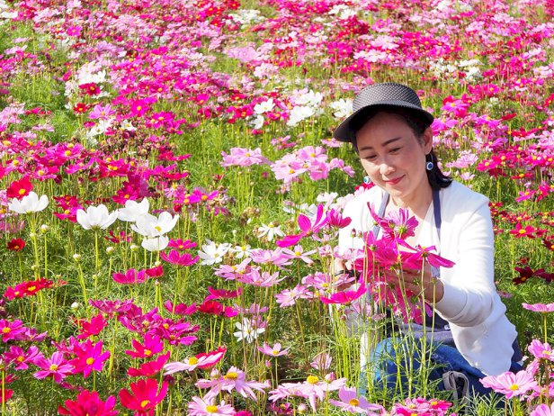 105328 701730178339441 kubota farm fest 2022 160083359196462198186979426132557585446118218316299701321774297857902286613347227176658845496901644169685756654311060817967