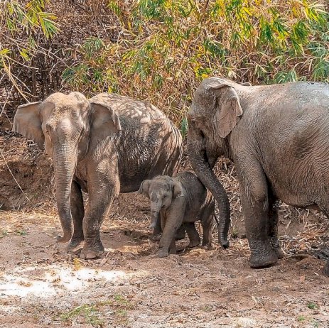 105368 123375516537593537460451658518271770490633632422908729773585897984375309706844 747532510772013244406481716249985619606323854308358502980 937906321185312361493920747759893761605 164705 fc 230870875919866921590887