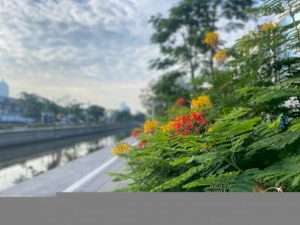 105441 305630022627030468453797241685395033536 442946872051058063484878518129284473277457259799 384663691057307480141968639567021270048946297568603246206237202 asian townscape award 2022