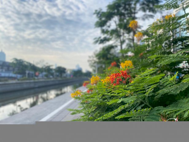 105441 305630022627030468453797241685395033536 442946872051058063484878518129284473277457259799 384663691057307480141968639567021270048946297568603246206237202 asian townscape award 2022