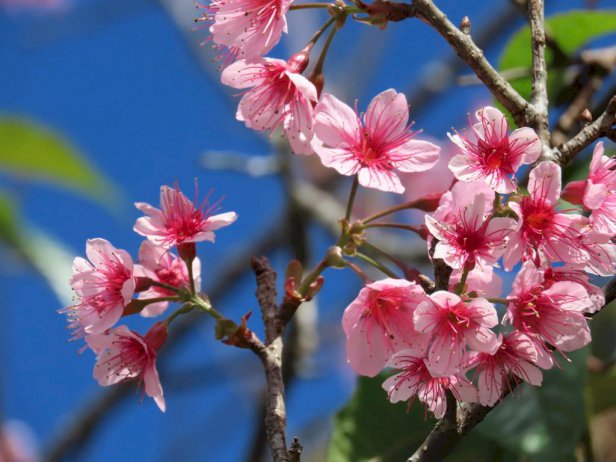 105445 335526065393307008613144949 683767562737076609406946269930199017393090934157710937886221452107578229837574961687000097243150061 138980 369988735438059030849094279887