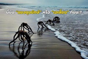 105449 246685359653231921805801074127 419180409752998726003536424444248 335309125334 568630477828145727111516 860589713294435995974369169878392295709118330615702988882506