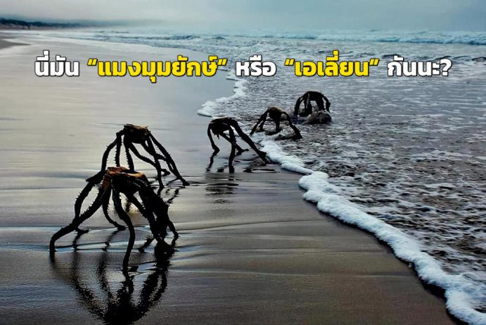 105449 246685359653231921805801074127 419180409752998726003536424444248 335309125334 568630477828145727111516 860589713294435995974369169878392295709118330615702988882506