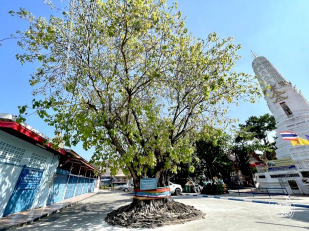 105484 466509422867269905759791727528534485273593223648492007058096 930677826745533232570670093 28 638566010502 523122049307206987197235413380334072435133 447489821029375553775698215863585146394204