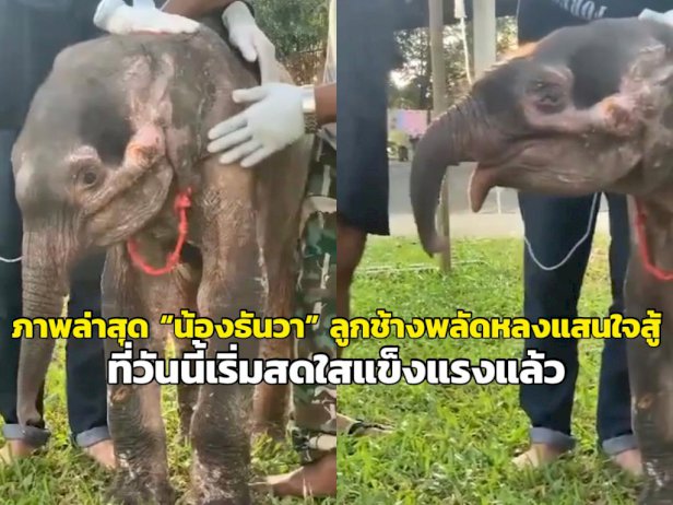 105492 732188830344488381629095494 824579233935251273812936380 466894327672978996743032599954901944807334384296456103295282959532789855344 388121766606514689690400447498945722788033413399749695696789939435069941810877916196116