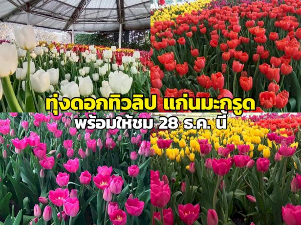 105507 249190302282248797158759748 983258815435882801938027541616643740669 204876498422099641498238873717 226746209605650650207086288755878393054994706505133604706 741270606504623979219 28 723742 320987142