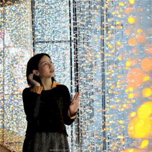 105555 212057504845031526185964901 the night light of flora fest 874887998580062899171567531153411025493446415393996272290