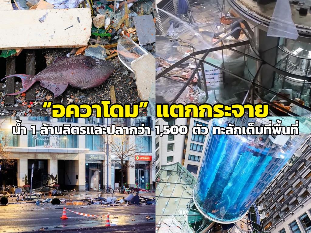 “อควาโดม” กลางโรงแรมในกรุงเบอร์ลิน แตกกระจาย น้ำ 1 ล้านลิตรและปลากว่า 1,500 ตัว ทะลักเต็มที่พื้นที่ 565000012150601