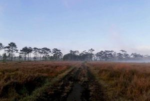 105603 540917715756060760677549956690072565546313667503528721096 234299283751125065229317391118431989452109259962274708862038 2566 020529137858769255078948683134