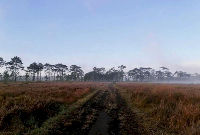 105603 540917715756060760677549956690072565546313667503528721096 234299283751125065229317391118431989452109259962274708862038 2566 020529137858769255078948683134