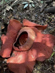 105732 013365565478 130886437 122099707983882656 150255764947058460656382773602121600751112938221817047 797604 803965313070305