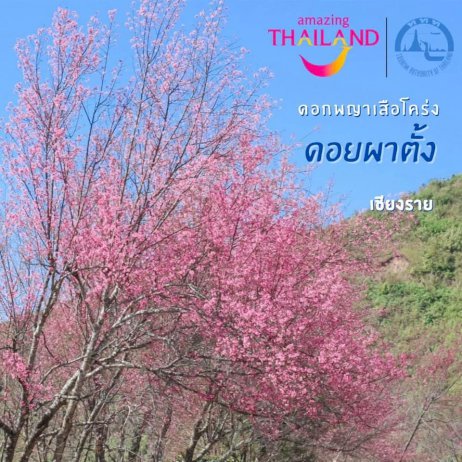 105736 735177583163784332905686 6 851972352451601690497873359372669614613657235667083783713161036629419 714 883606495917291176066668