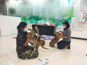 105752 667434712462354328335414440656513365170987413987157088 3 181092752091799262120430043109134092778208263609684990246 038023088195619049850276339182339507744153045272093450972390615343