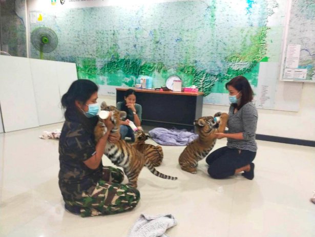 105752 667434712462354328335414440656513365170987413987157088 3 181092752091799262120430043109134092778208263609684990246 038023088195619049850276339182339507744153045272093450972390615343