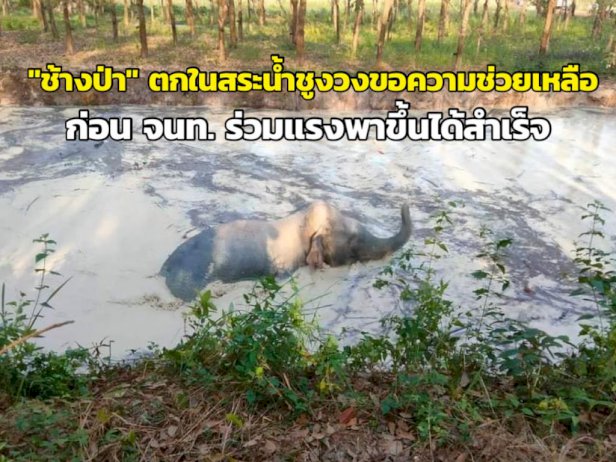 105779 493689810149455734630358943653714 261263473883415660439 298415829512140617858001714015730627162222416027012079722425216856453111541337326890025898 902414292123 582036456 948678470985298284457284838229729189780699770449313830135623745841