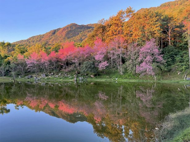 105783 800318273531207404 474913158022113261 915308363098853547933252090693996 894598627817733716356489642934437147118275105 192147 623677690806297292018336398741052273407576 690580214664534427631290581692177826218372915047358735864454221