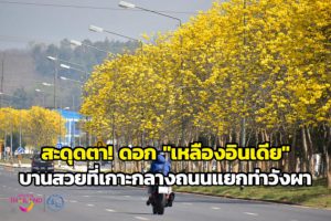 105808 649172169921921531145 208255510 007682410325808948893776182906326742084 344155803064053122006061681056712157648628602177448101210456281878195090103312594292222572190