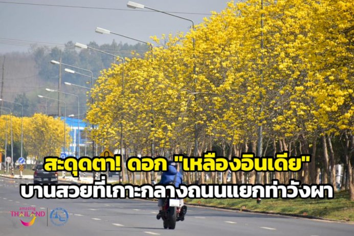 105808 649172169921921531145 208255510 007682410325808948893776182906326742084 344155803064053122006061681056712157648628602177448101210456281878195090103312594292222572190