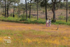 105816 578230873411402030753935950065191023087 418604 661176450906544355 745226654026373305338644404158198405428871518319941861766042598428512148192883036229822164489706180999895168510113609179787610590791196424