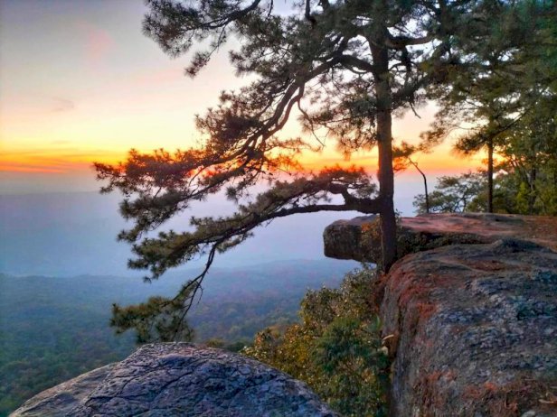 105823 023572449130 731264831625932810499526 809053094341467278271895699721569 785316646684531594605314261365430075459430659832068028008887759