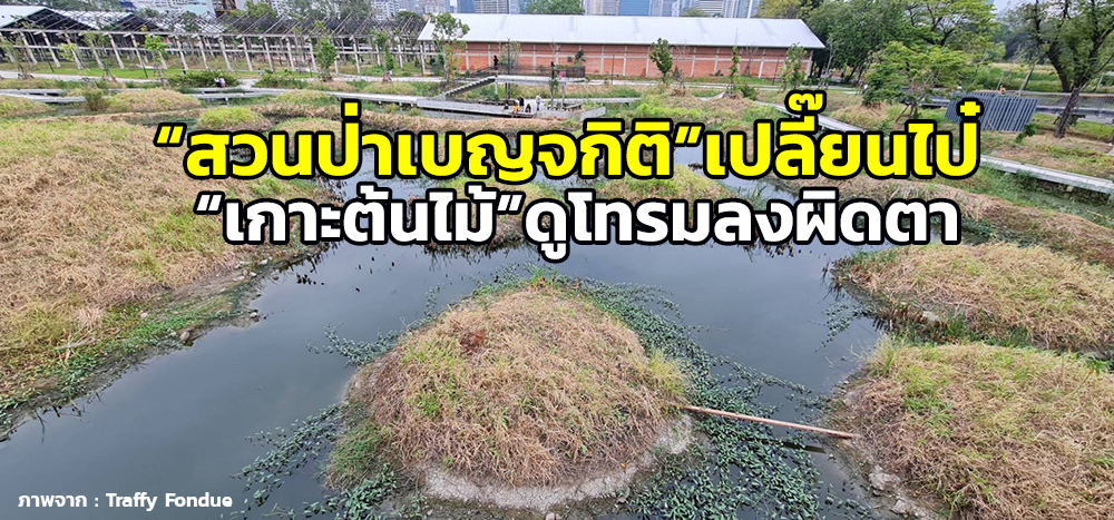 ดราม่า “สวนป่าเบญจกิติ”เปลี๊ยนไป๋ โซเชียลแห่แชร์ “เกาะต้นไม้”ดูโทรมผิดตา น้ำเน่า-หญ้าตายซาก 566000000237301