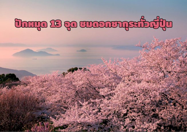 105851 696136345112327640 080029741467388228167402967247599956321276591846672824939199 2023 729358147410451225367750523590 13 535734939665532100526047067036331410483358562150741875051021449672755619194858677436087502631