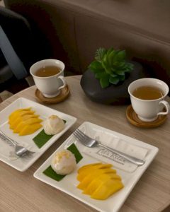 105956 777002159744437 t ara 292225833078236210453885471733156 787650986391994967073357760370469885134614395147609288656864086626872